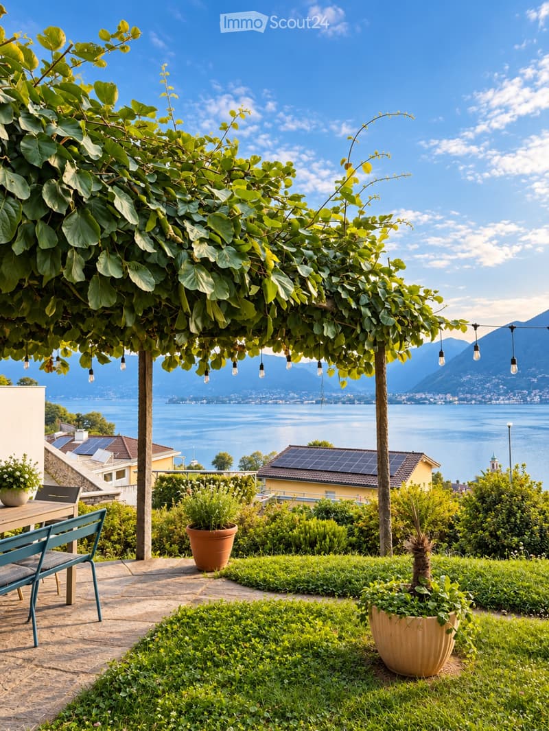 2.5 a Vira Gambarogno splendida vista, ampi spazi esterni (5)