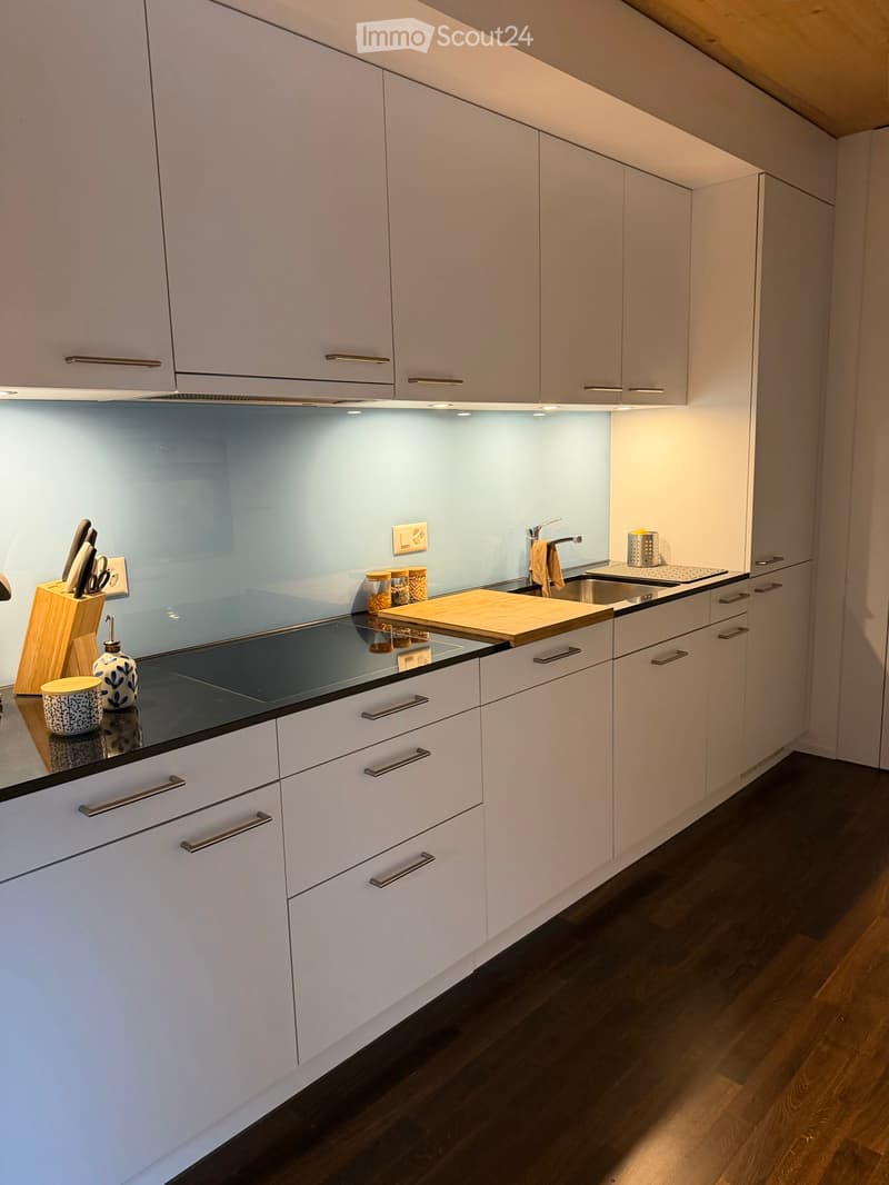 Appartamento 3.5 a Bellinzona (1)