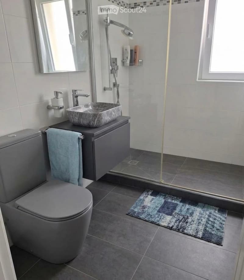 Neu renovierte Wohnung neben Grotto Broggini Losone (5)