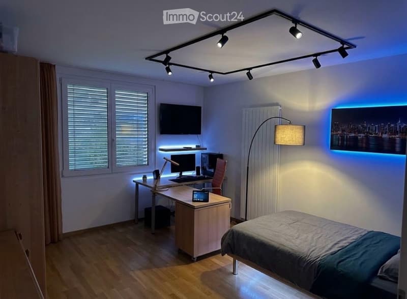 Neu renovierte Wohnung neben Grotto Broggini Losone (4)
