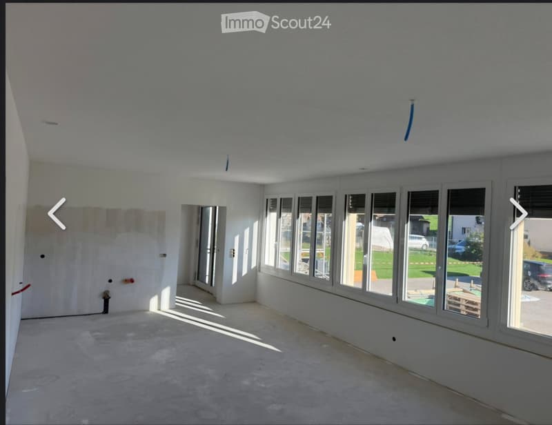 3.5 Wohnung EG, Erstvermietung (1)