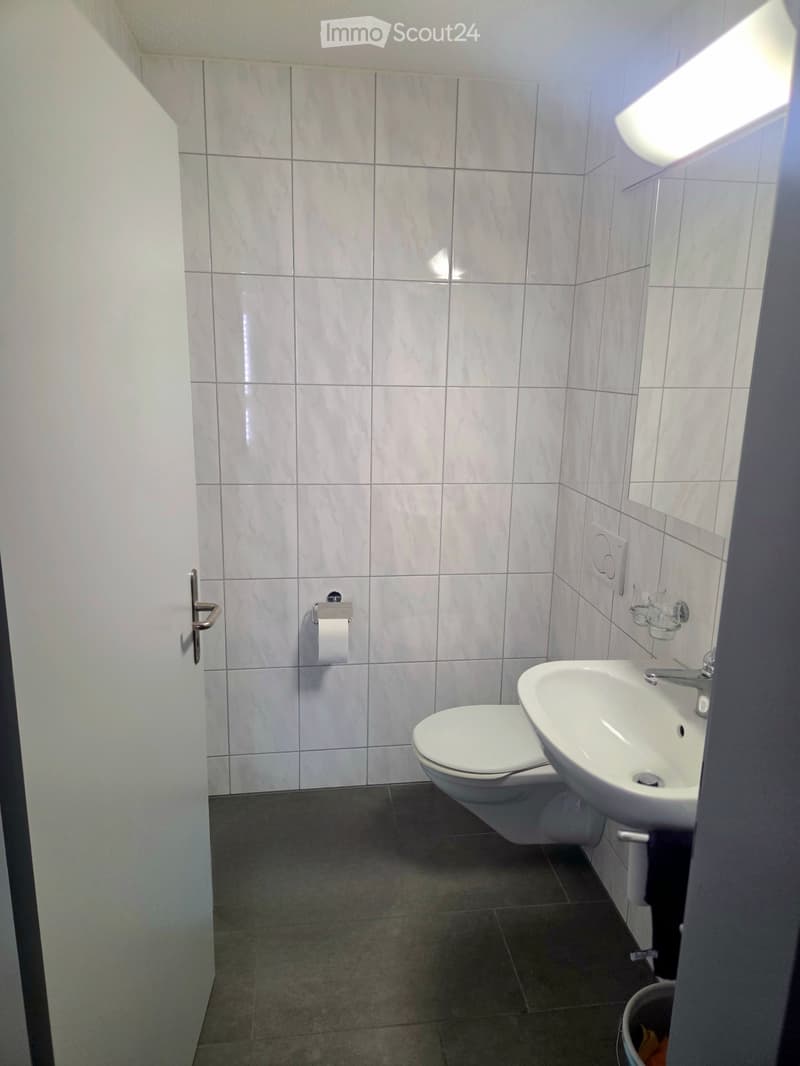 Sehr helle, gemütliche 3.5 Zimmer Wohnung (3)