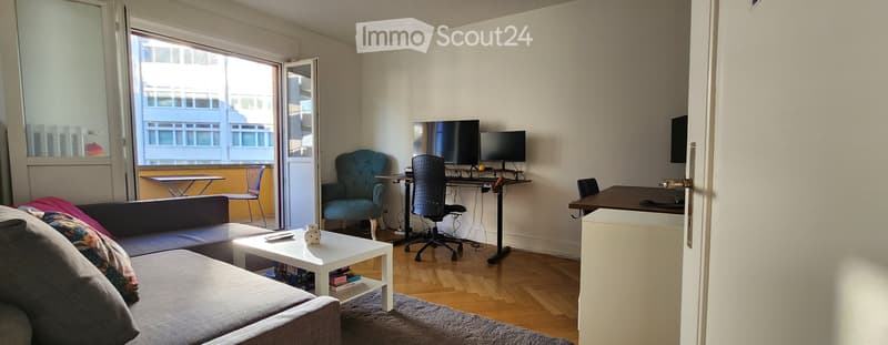 Sonnige Wohnung in Wiedikon Kurzzeitmiete für nur 3 Wochen (2)