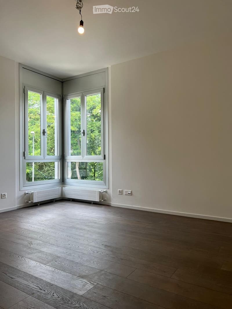 Elegante appartamento completamente rinnovato con vista lago (10)