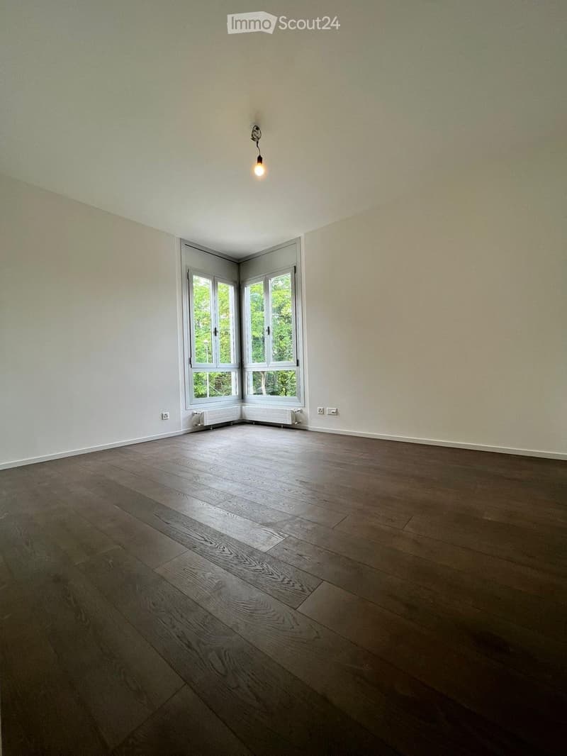 Elegante appartamento completamente rinnovato con vista lago (11)