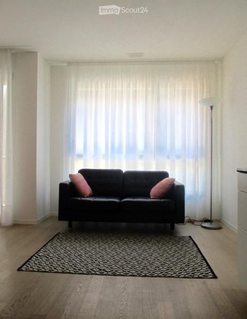 Möblierte und schöne 1-Zimmer Wohnung im Kreis 5 (Zürich) (4)