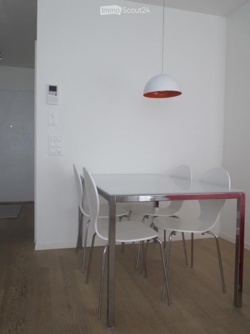 Möblierte und schöne 1-Zimmer Wohnung im Kreis 5 (Zürich) (2)