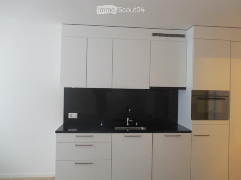 Möblierte und schöne 1-Zimmer Wohnung im Kreis 5 (Zürich) (1)