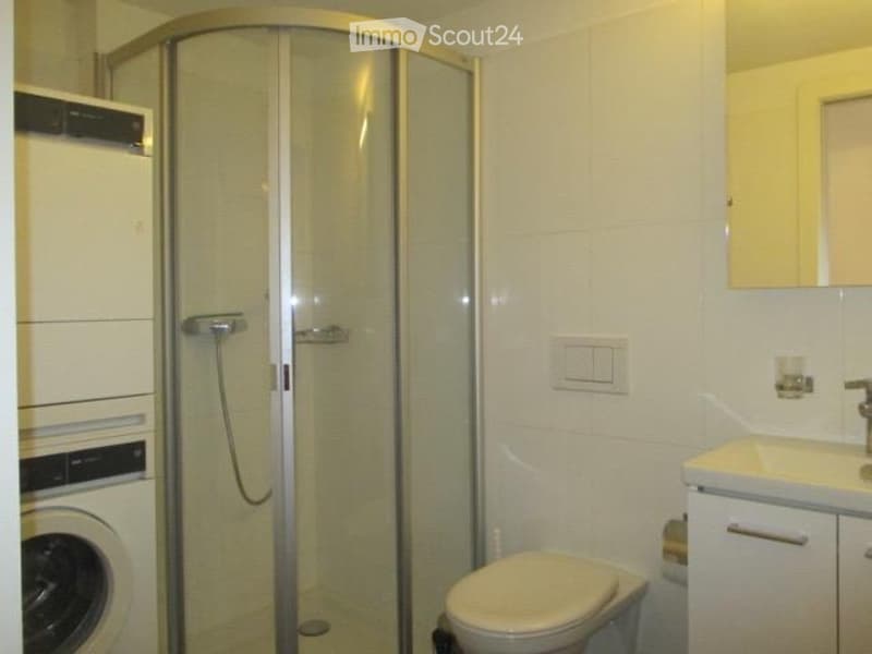 Möblierte und schöne 1-Zimmer Wohnung im Kreis 5 (Zürich) (3)