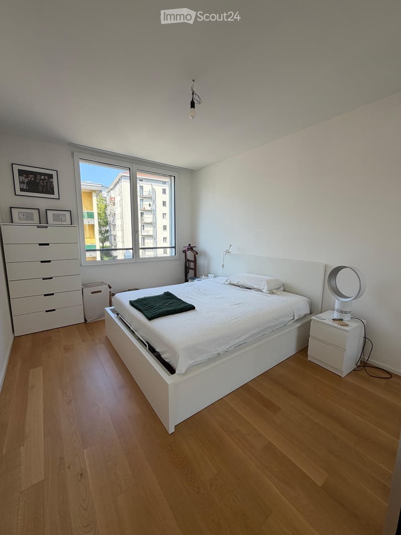 Cercasi subentrante 2,5 a Massagno (3)