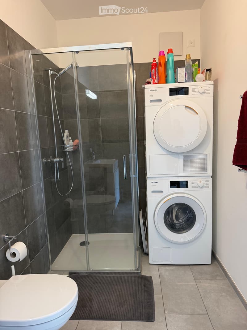 Cercasi subentrante 2,5 a Massagno (4)