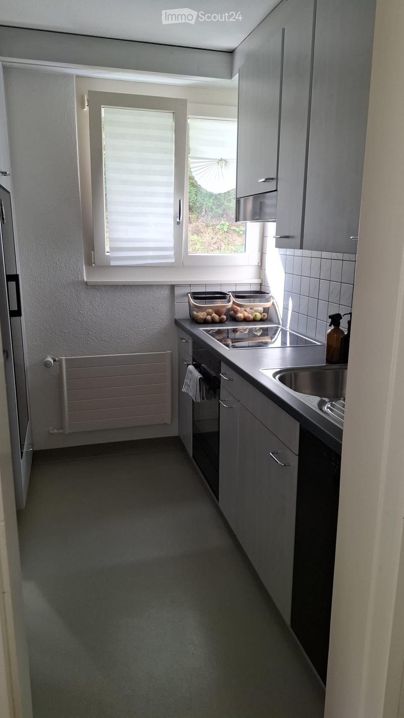 Nachmieter für 4,5 Zimmer in Kriens (4)