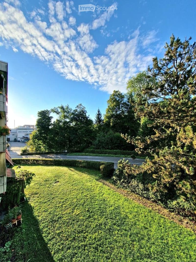 Grosszügige, 2.5-Zimmer-Wohnung in Langenthal - ab sofort (1)