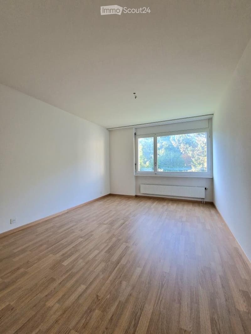 Grosszügige, 2.5-Zimmer-Wohnung in Langenthal - ab sofort (5)
