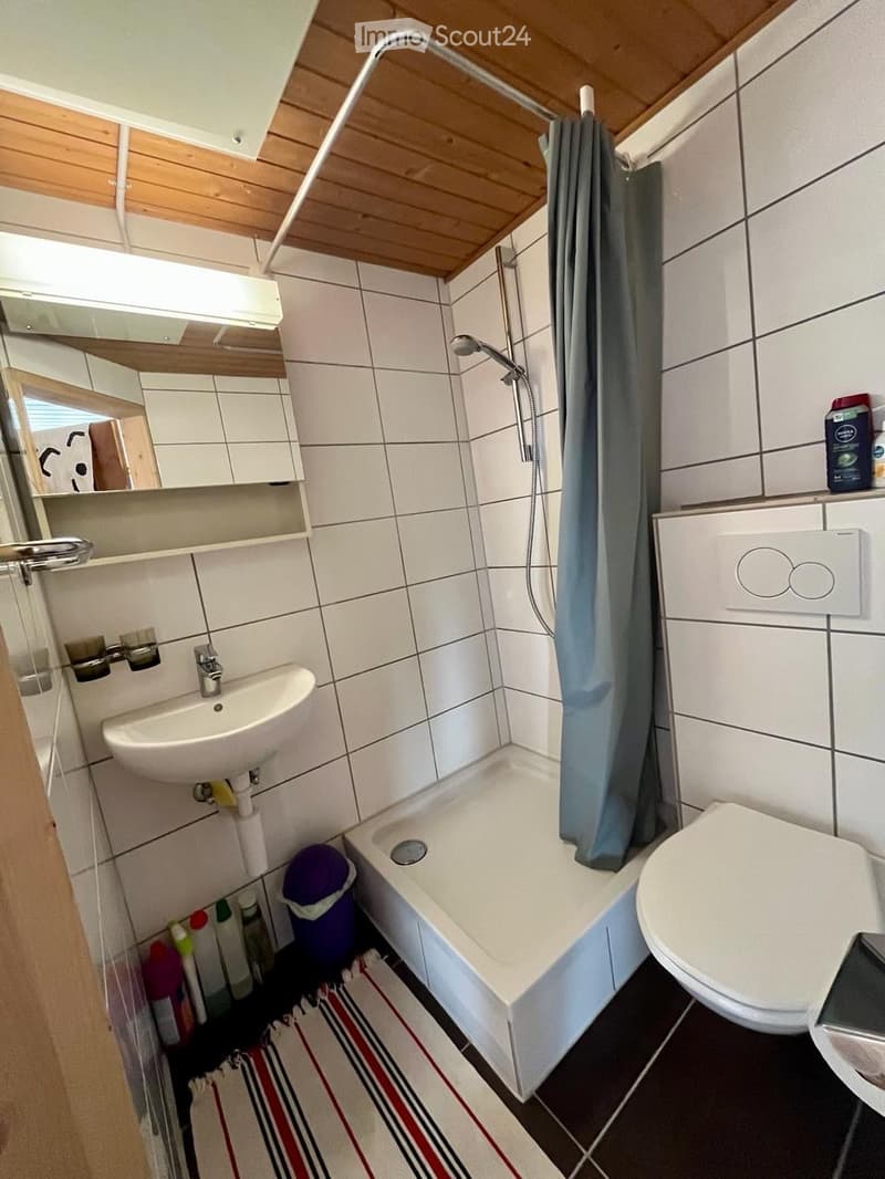 Studio in den Bergen, Nähe Davos (4)