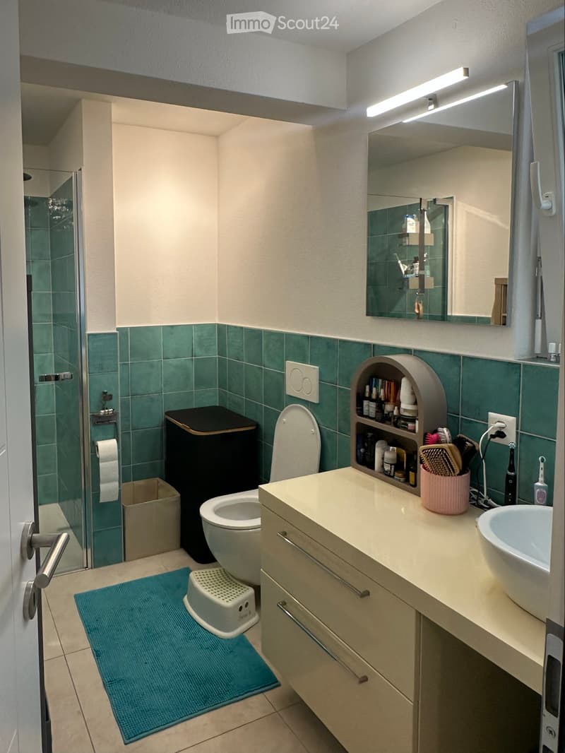 2.5 LOCALI CON GIARDINO PRIVATO, Sant'Antonino (10)