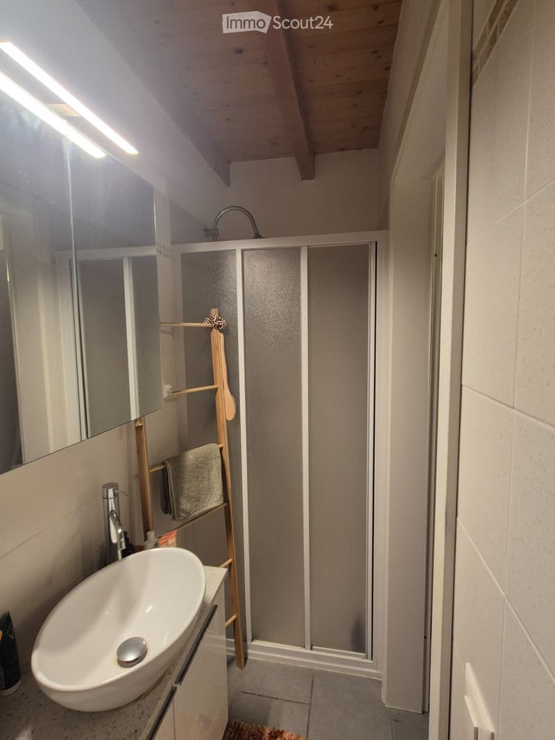 Affittasi 2.5 locali con soppalco in centro a Bellinzona (5)