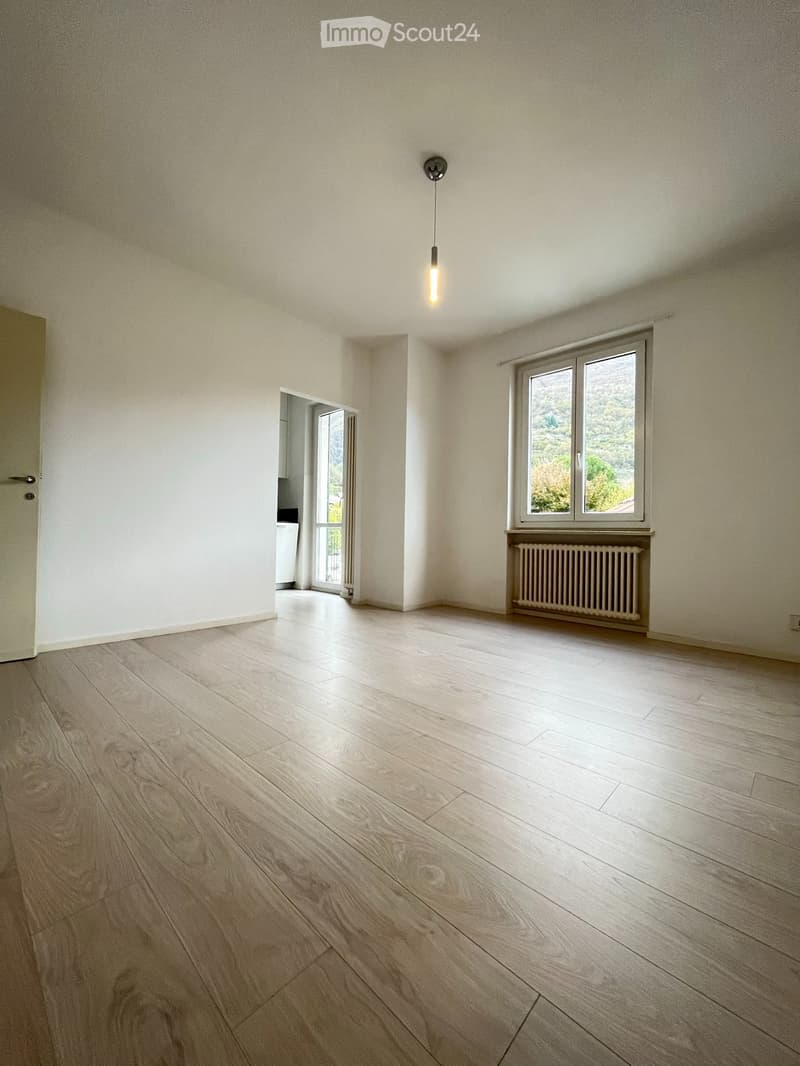 Affittasi appartamento 3.5 locali rinnovato a Sementina (1)