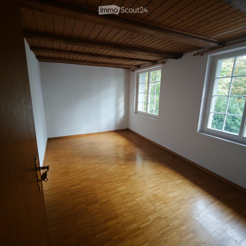 Helle & grosszügige 4.5-Zimmer-Wohnung (90 m²) im 1. OG (2)