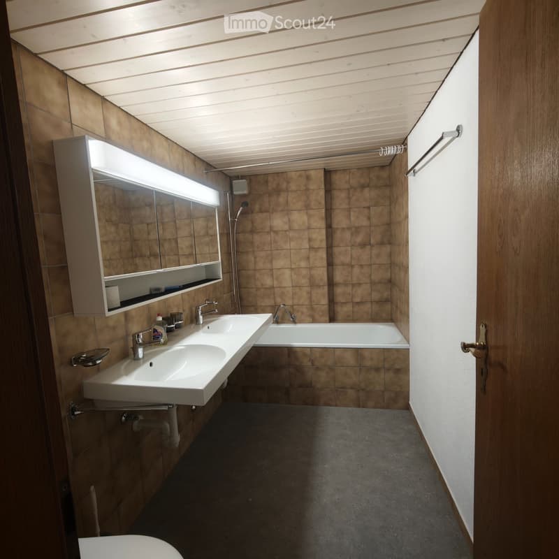 Helle & grosszügige 4.5-Zimmer-Wohnung (90 m²) im 1. OG (4)