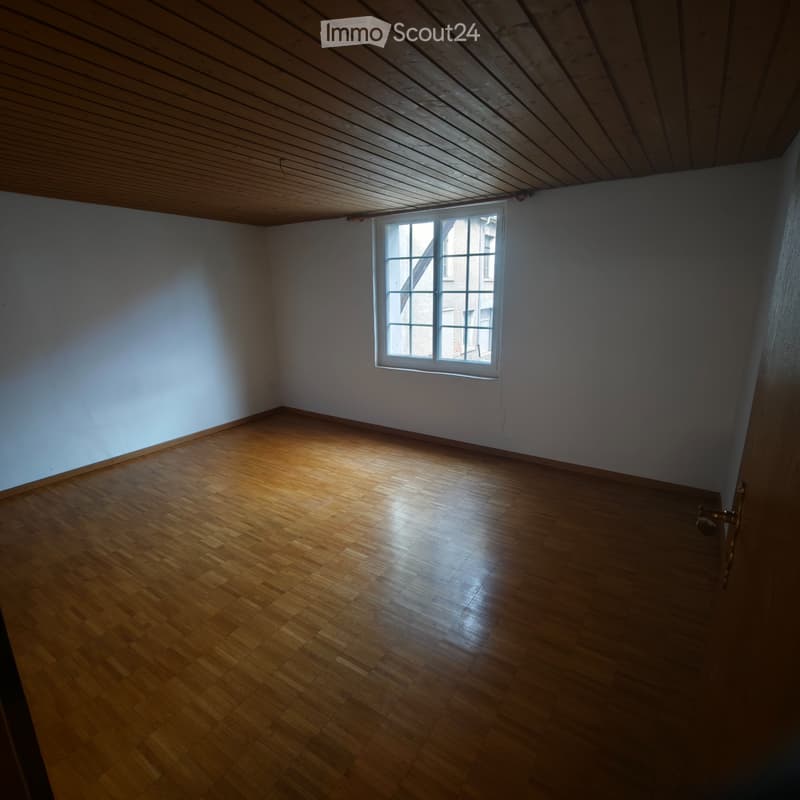 Helle & grosszügige 4.5-Zimmer-Wohnung (90 m²) im 1. OG (3)