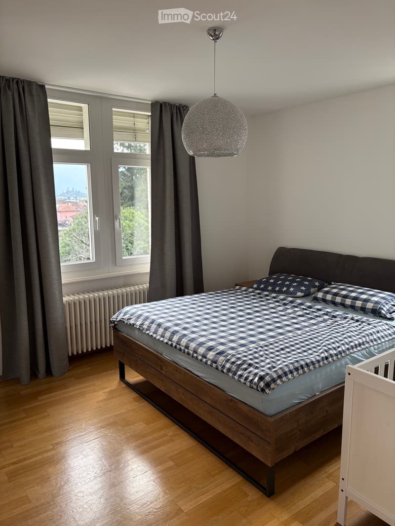 SUBENTRANTE CERCASI APPARTAMENTO 4,5 LOCALI (140 m²) (2)