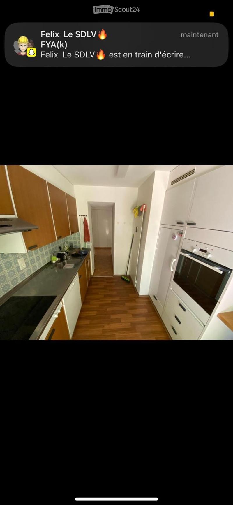 3-Bedroom Apartment in St. Gallen Looking for 3 New Tenants (3)