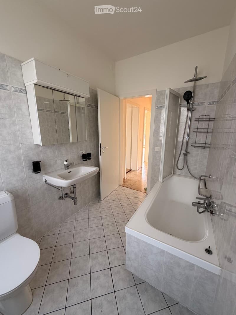Appartement spacieux et lumineux de 3,5 pièces 122 m² (3)