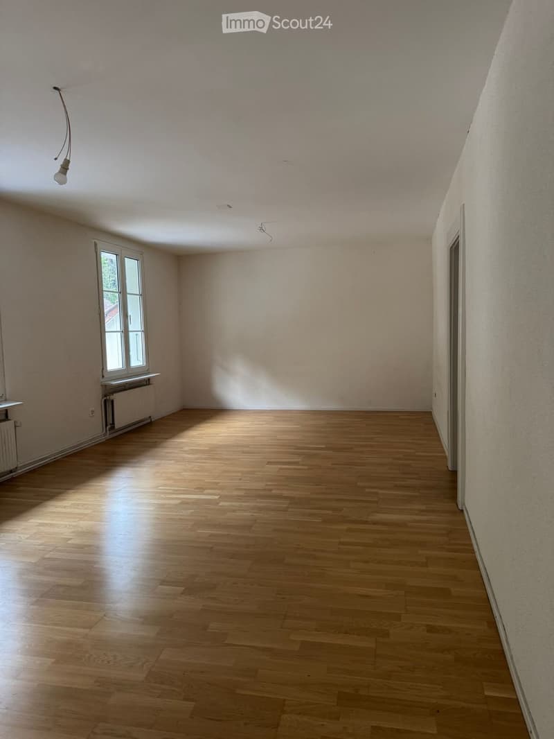 Grosszügige, 3.5-Zimmer-Wohnung in Hölstein (2)