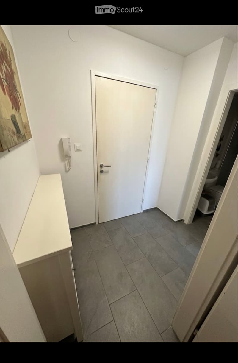 2 ZWG Nachmieter gesucht (3)