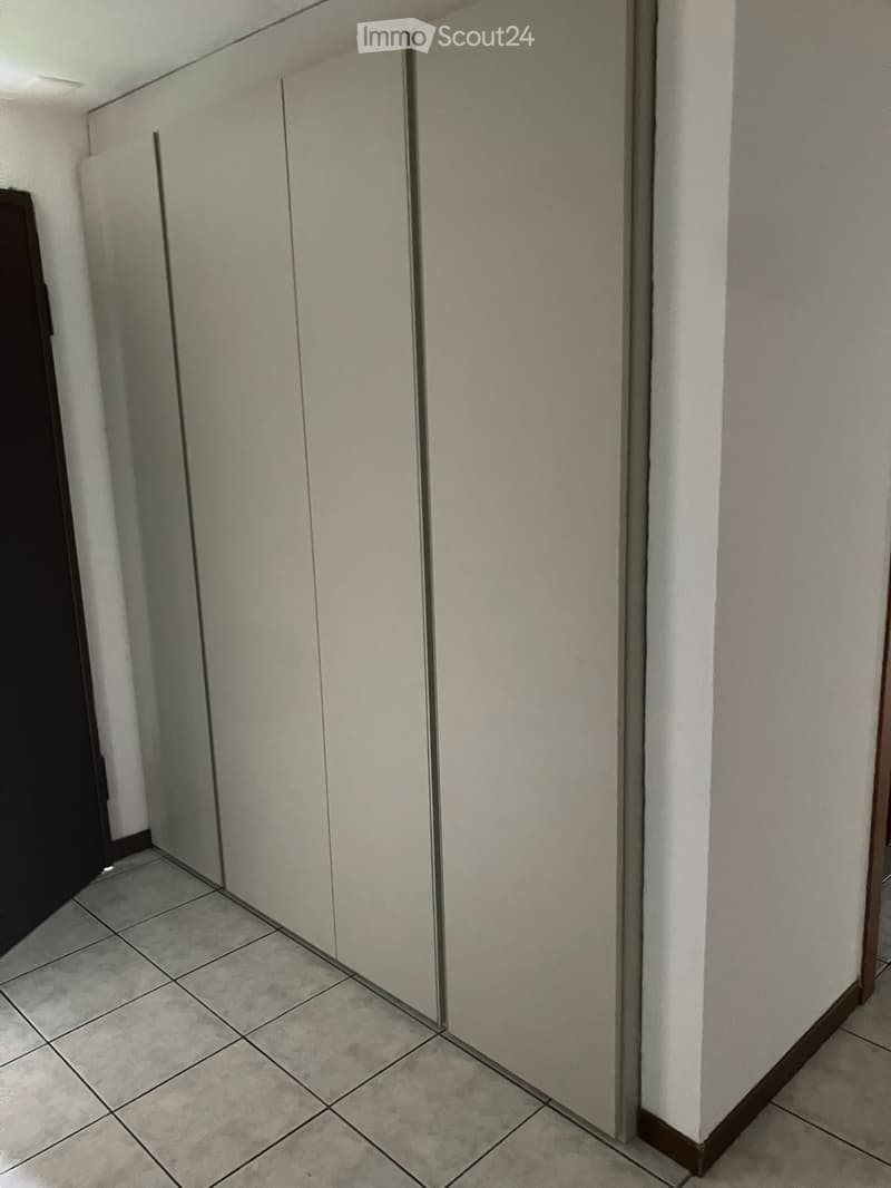 BIRONICO - appartamento 3.5 locali libero da subito (6)