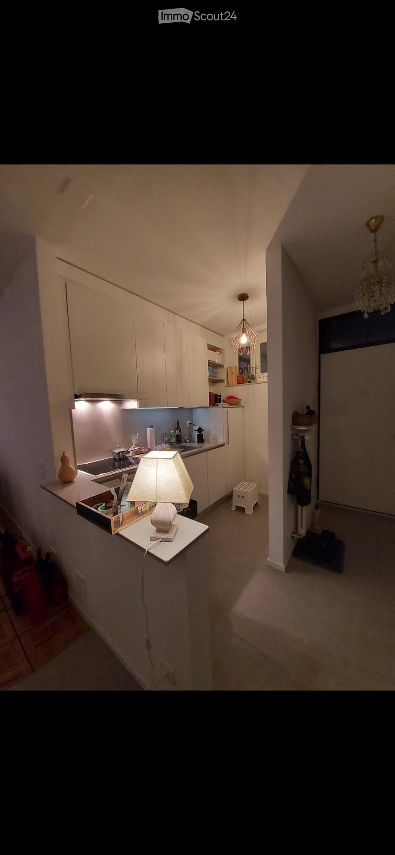 Cercasi subentrante per appartamento 2.5 locali (5)