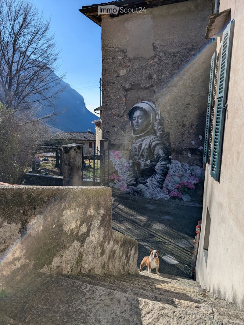Appartamento nel verde (4)