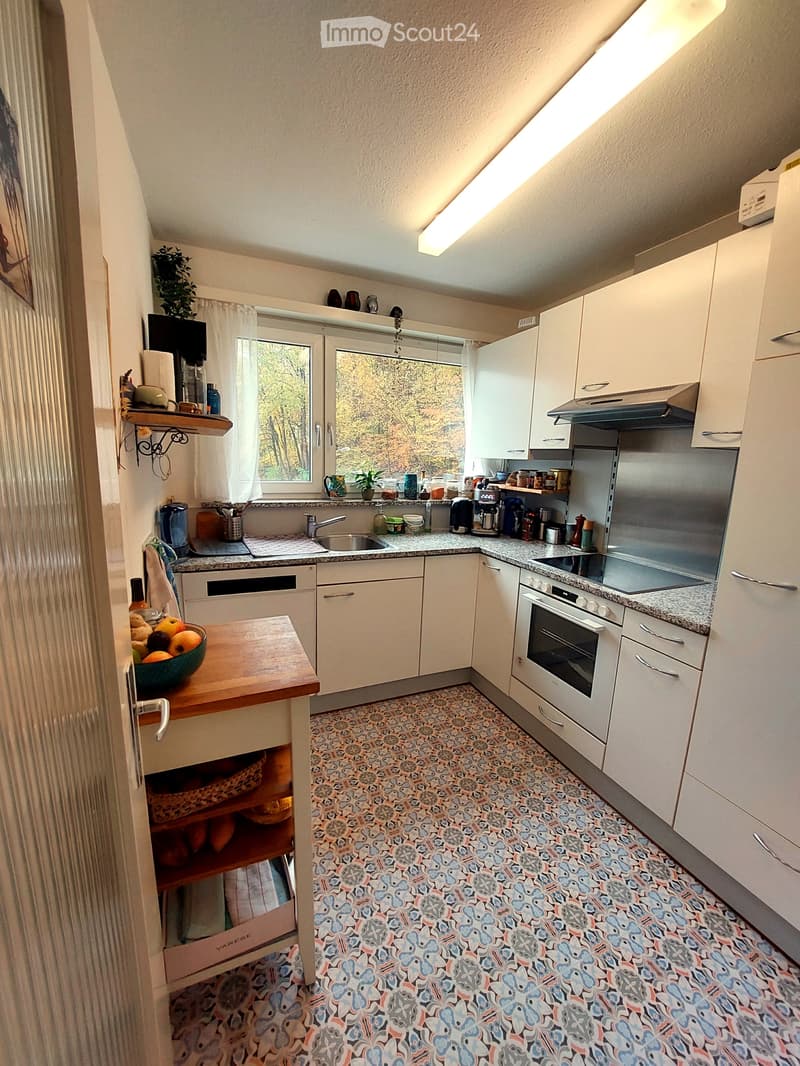 UNTERMIETE 3.5 ZIMMER LUZERN / SUBLET 3.5 ROOMS LUCERNE (2)