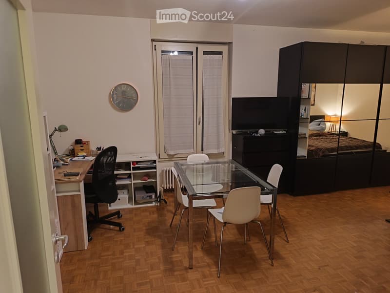 Subentro 1,5 locali a Lugano, zona Besso/stazione (2)