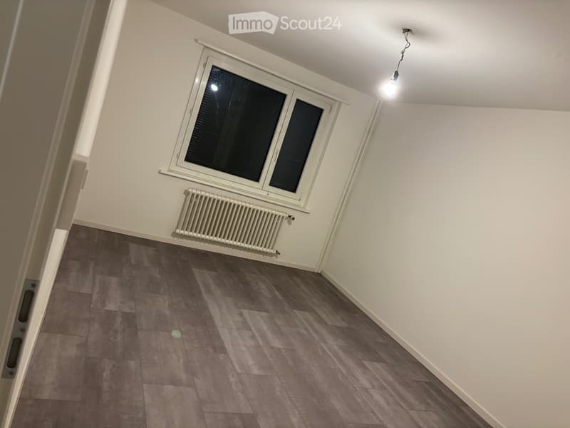 Wohnung ab sofort zu vermieten (4)