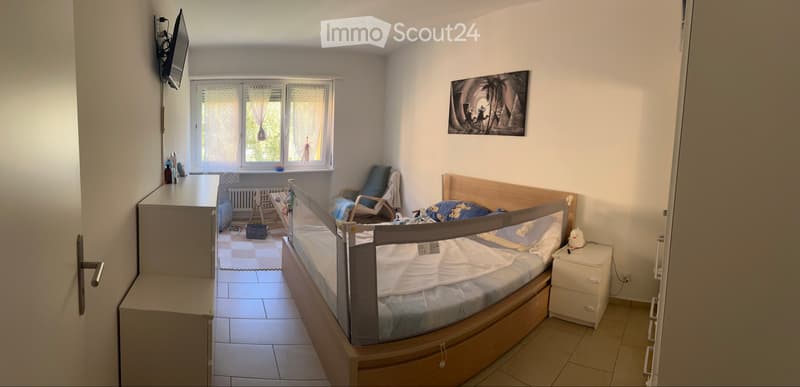 Cerco subentrante 2.5 Bellinzona (3)