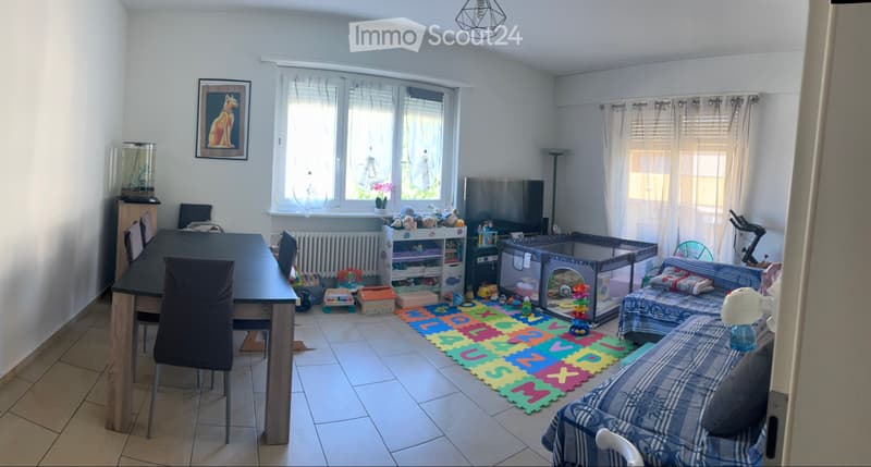 Cerco subentrante 2.5 Bellinzona (2)