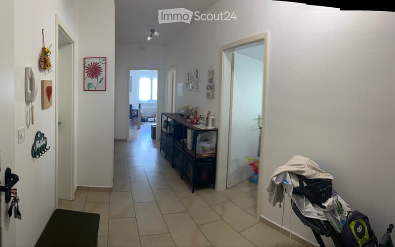 Cerco subentrante 2.5 Bellinzona (5)