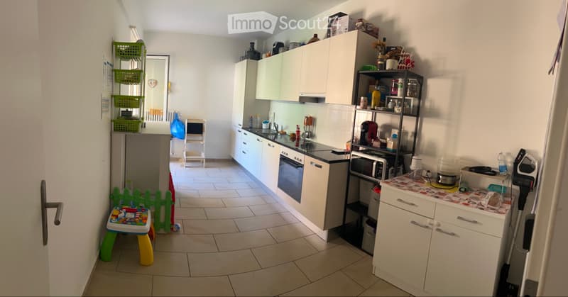 Cerco subentrante 2.5 Bellinzona (1)