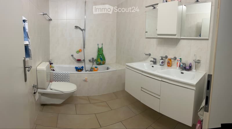 Cerco subentrante 2.5 Bellinzona (4)