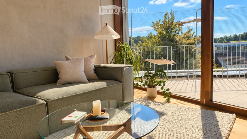 Moderne 2.5-Zimmer-Attikawohnung mit 26 m² Terrasse (1)