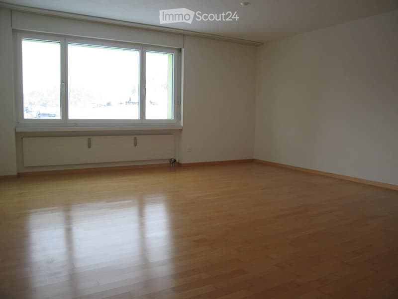schöne 4.5 Zimmer Wohnung an ruhiger Lage (3)