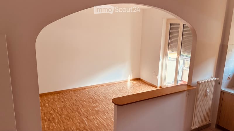 Appartamento in ottimo stato a chiasso (2)