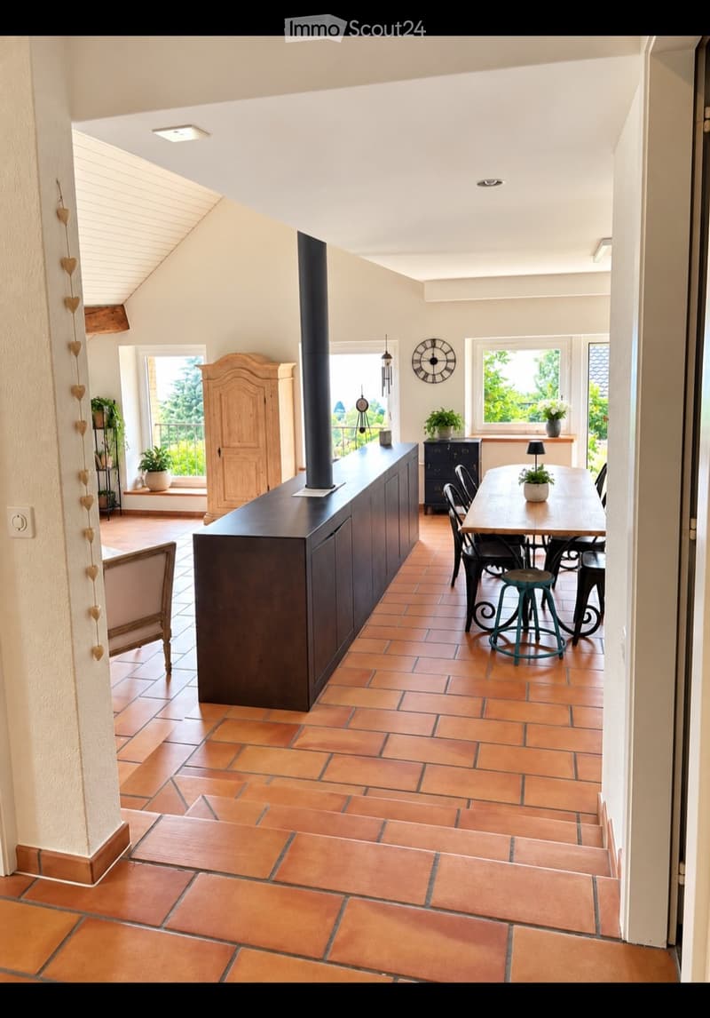 Appartement de charme vue sur le lac agréable en été (6)