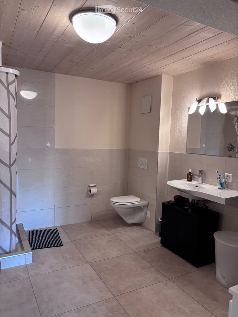 Studio mit viel Charme in Ettiswil  ab Mitte Dezember (4)