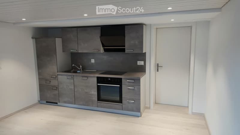Zu Vermieten: Moderne 2 Zimmer-Wohnung (1)