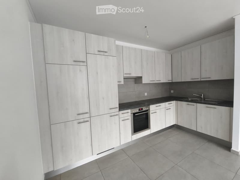 Beautifil and completely new apartment in Chiasso (3)