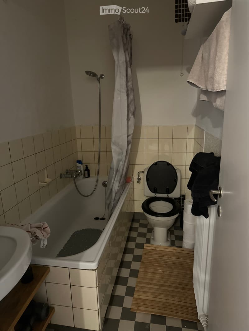 Untermiete 2-1/2 Zimmer Wohnung befristet bis 30. April 2027 (4)
