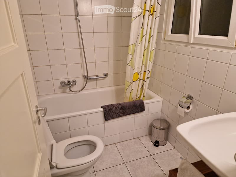 Zentrale und ruhige 2.5-Zimmer-Wohnung (4)